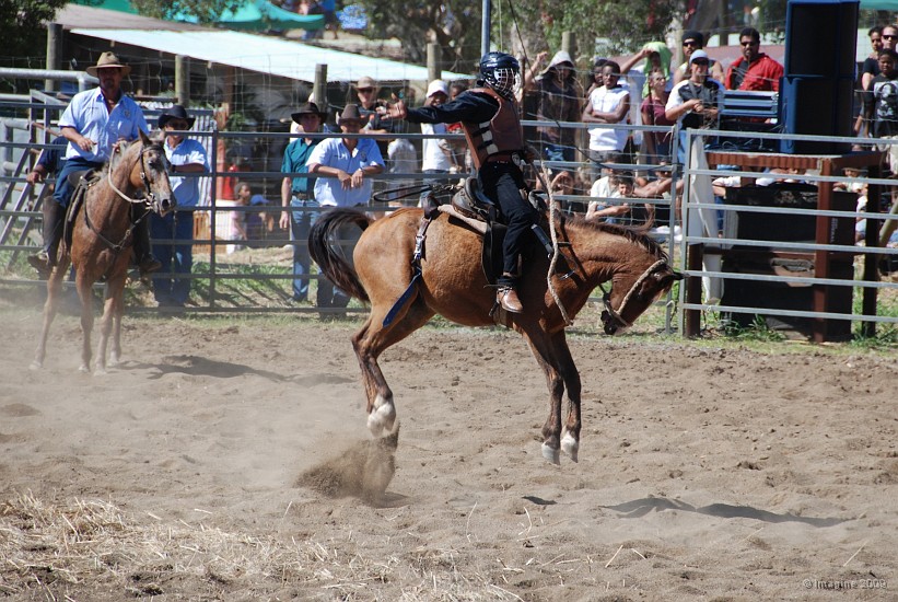 10.39- Rodeo.JPG